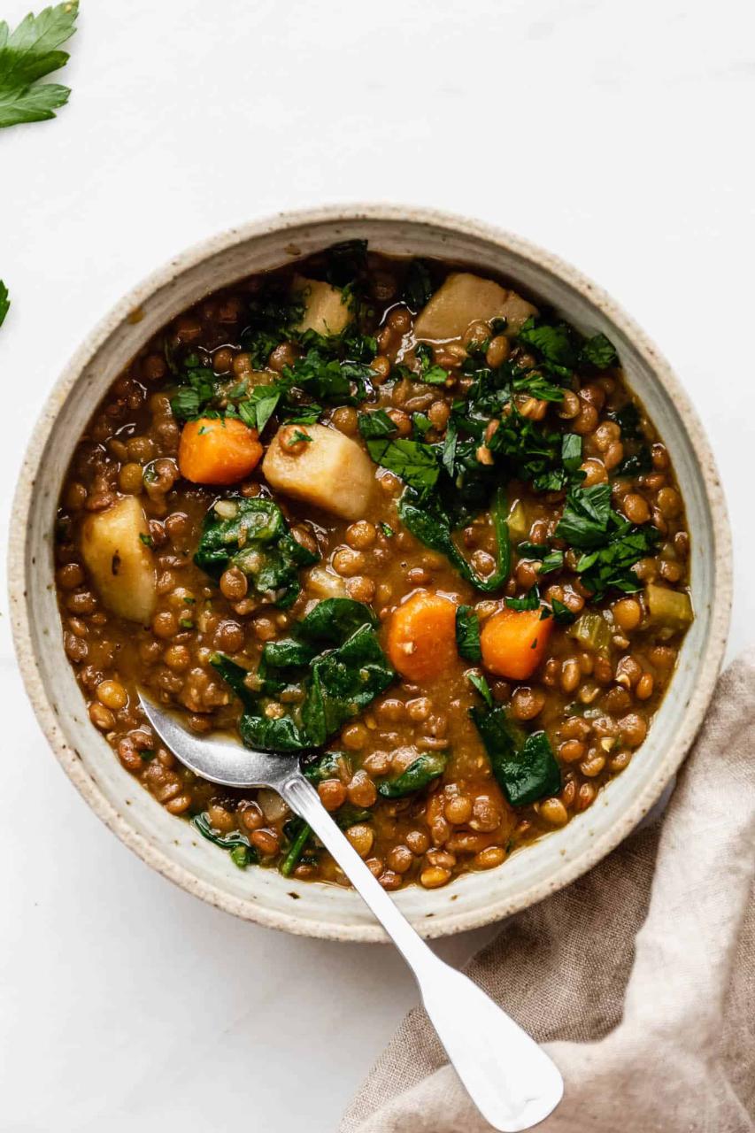 Vegetarian and Vegan Lentil Stew - Choosing Chia